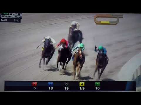 ANY LIMIT (G STAKES) 3/24/18 - ELEVENESES !!