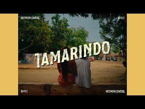 Motherflowers - TAMARINDO (Visualizer)