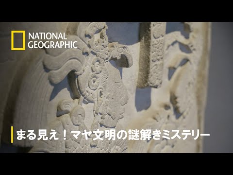 マヤより: これは地下の骨の風景の真ん中で発見されました