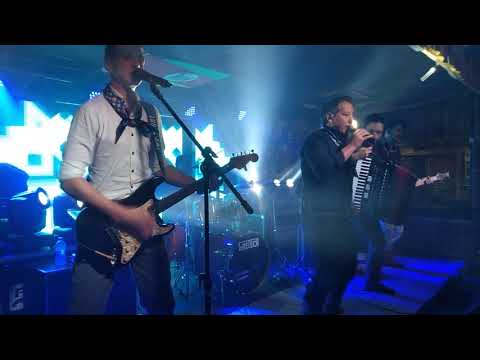 Criado Tipo bicho ( GRUPO PORTAL GAÚCHO)