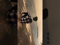 Manmadhane X Loosu Penne Mix Love Feelings Loosupenne Lovefeeling Vasanthblissz Lovesongs