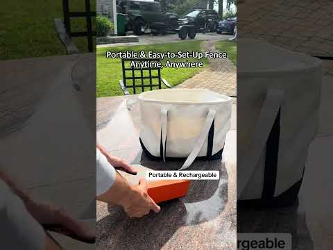 Keep your furry friends safe and well-behaved