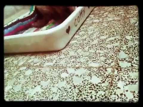 les compétences de les chats