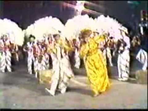 1985 Broomall String Band - On The Trail