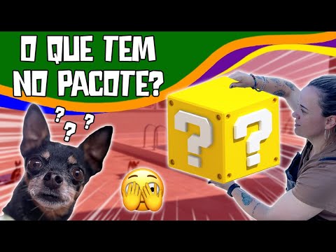 COMPREI UMA PISCINA DE BOLINHAS GIGANTES PARA OS MEUS CACHORROS - UNBOXING