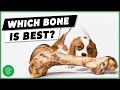 Dog bones: Which Are Safe For Dogs? | Ultimate Pet Vet