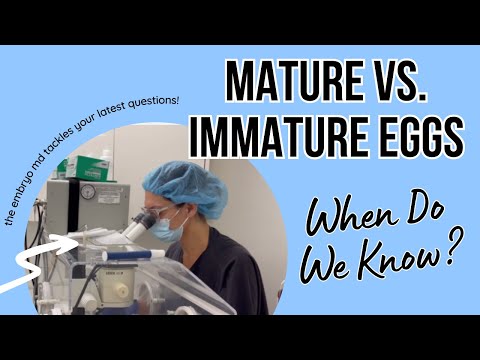 Mature vs Immature Eggs: When Do We Know?