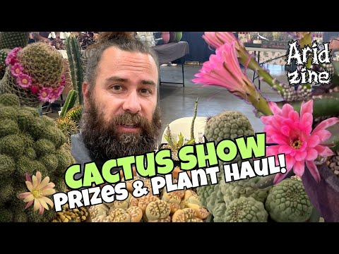 Rare cacti, a massive plant haul and my CHAMPION succulents