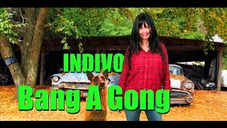 (Bang A Gong) Get It On - INDIVO