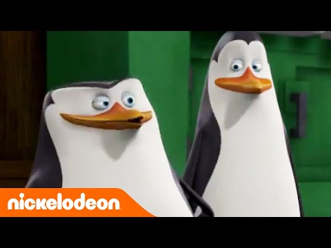 Die Pinguine aus Madagascar | Popcorn Panik! | Nickelodeon Deutschland