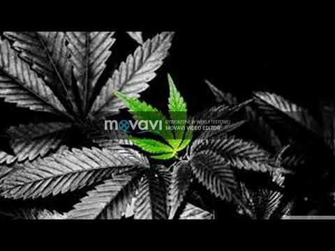 Składanka - Dejlu, Kartky,  Kleszcz, Kopruch, Kret FBS