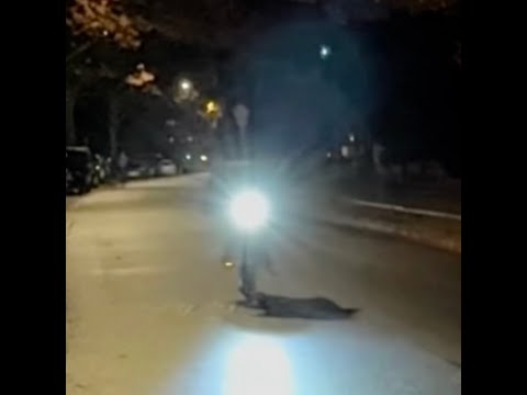 This Magician is from another World! 😱