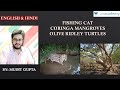 MM 20 Coringa Mangroves Fishing Cat Mangroves In India Olive Ridley Turtle Current Affairs