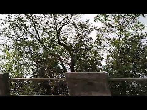 Driving from Sistiana towards Trieste VIII, Duino-Aurisina, Venezia-Giulia, Italy, 05/10/22