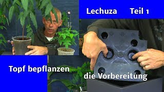Selbstbewässerung Lechuza Topf für draußen und drinnen nutzen wir für eine exotische Pflanzen Der Au
