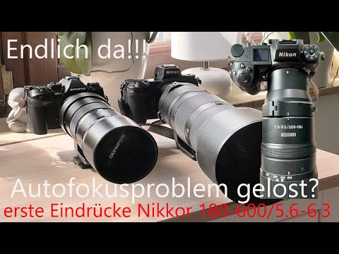 ERSTER EINDRUCK | Nikkor Z 180-600 f/5.6 - 6.3 VR | Endlich da ! Autofokusproblem WILDLIFE an Z7II