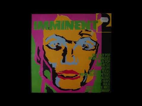 The Sting-Rays / Never Had It So Good