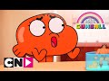 De Wonderlijke Wereld van Gumball | Schildpad als huisdier | Cartoon Network