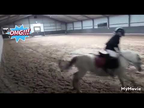 Sandra bokt tijdens wedstrijd.😱😱 Holzik stables. lindsey's paardenwereld.