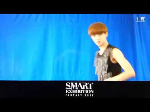 Fancam 120810 S M ART Exhibition   Exo Fantasy Tree