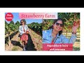 Trip to Strawberry farms in England | One Day trip from London|Parkside Pick your own @nehazkitchen221
