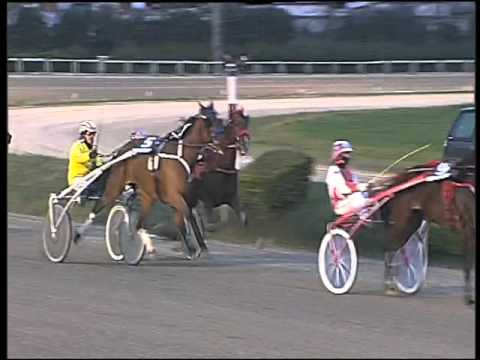 Trotto 07/01/2016 - 5° corsa