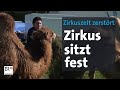 Circus Stuck For Months After Storm Evening News BR24