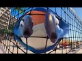 Rio FXM Encore Promo