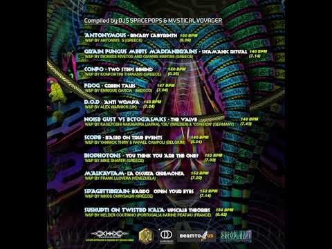 02 Grainfungus & Madianbrains - Shamanic's Ritual