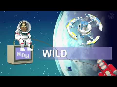 Revision Satellites 2022 - Compo - Wild