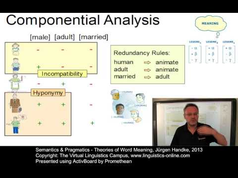 SEM114 - Theories of Word Meaning