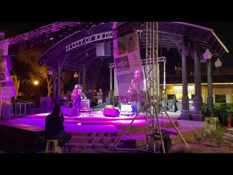 Vanessa Collier Dunedin 1