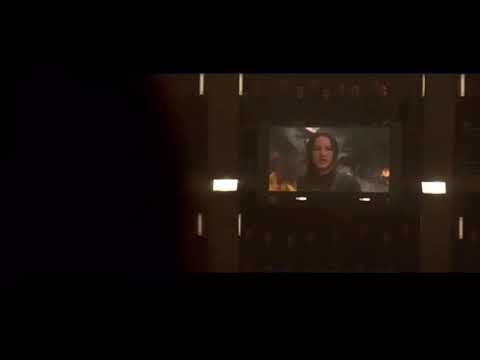 Mockingjay District 8 Official Propo