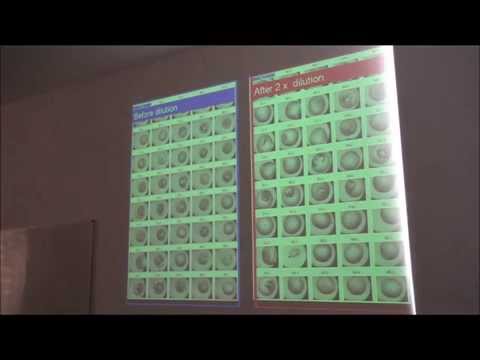 IMBB Seminar - Petra FROMME, September 25, 2014