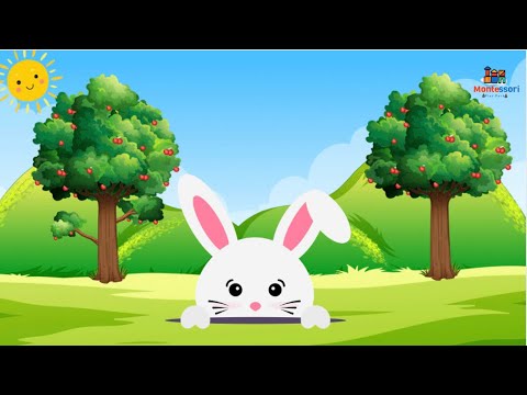 Αχ Κουνελάκι - Το Κοκοράκι | Παιδικά Ελληνικά Τραγούδια | Τραγουδάκια για Παιδιά