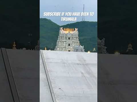 Tirumala part-3 #tirupatibalaji #youtube #shorts