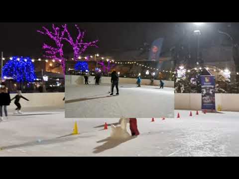 Ferie z Łyżwami w Nowym Targu 2020