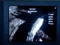 Cod5 Outskirt Roof Tutorial Glitch By BoM8