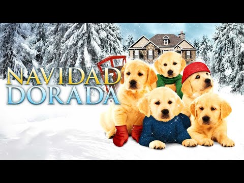 Navidad Dorada | Familia | Aventuras | Peliculas Completas en Espanol Latino