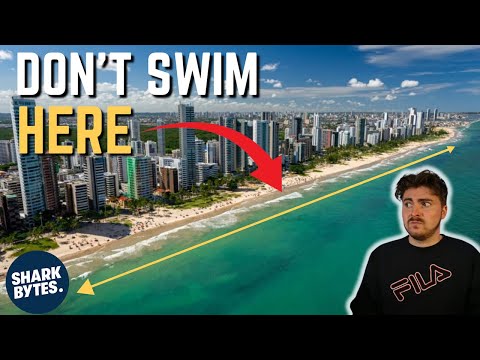 The DEADLIEST 12 Mile Coastline on Earth (Recife Shark Attacks)