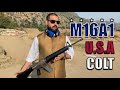 COLT M16A1: The Most Beautiful Rifle Ever!