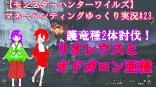 【モンスターハンターワイルズ】マネーハンティングゆっくり実況#23