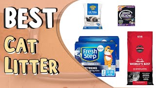Best Rated Cat Litter _ What Is the Best Rated Cat Litter_What Is the Best Type of Cat Litter?