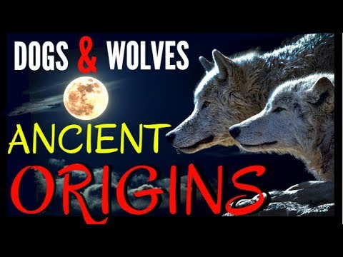Dogs & Wolves - Ancient Origins and Strange Beliefs ~ with David Ian Howe