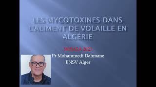 Intervention du Professeur Mohammedi Dahmane sur les mycotoxines dans l’aliment de volaille en Algérie (WISASA 9 et 10 juillet 2023)