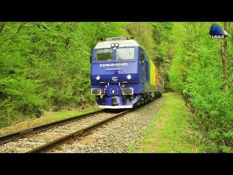 Trenuri & Trafic Feroviar/Trains & Rail Traffic in Defileul Crișului Repede Canyon - 28 April 2020