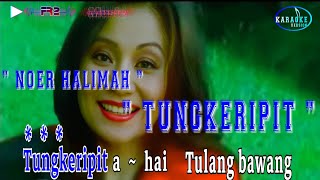 Download lagu Tungkeripit - Noer Halimah (Karaoke No Vokal) mp3