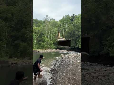 Ferry ship in the river came out know one no