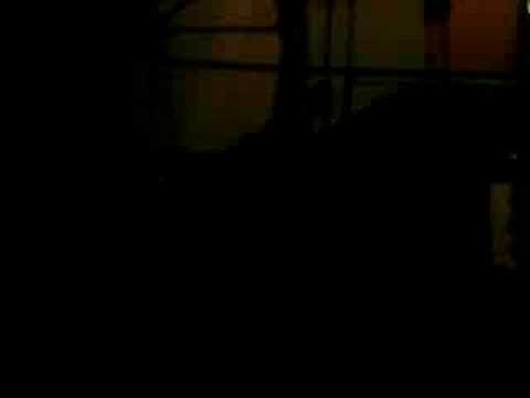 Performance Morgana 01 - Caramba's 16/11/2007