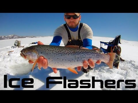 Humminbird ICE 35 vs Vexilar FL-8se and FL-18